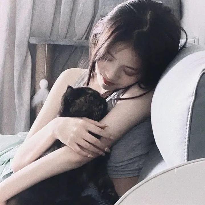 华丽上班族